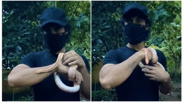 പാമ്പിനെ കളിപ്പിച്ച് ടൊവിനോ തോമസ്! ന്യൂജെന്‍ വാവാ സുരേഷെന്ന് ആരാധകര്‍