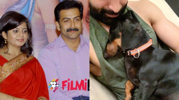 പൃഥ്വിരാജിന്‍റെയും സോറോയുടേയും സ്‌നേഹനിമിഷങ്ങള്‍ക്ക് കമന്‍റുമായി പ്രിയ മോഹന്‍! വീഡിയോ വൈറല്‍!