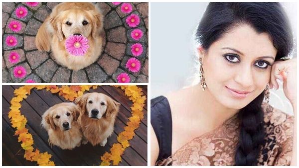 മമ്മൂട്ടിയുടെ നായിക പങ്കുവെച്ച വേറിട്ട പൂക്കളം,ഓണത്തിന് ഇതിലും മനോഹരചിത്രം കണ്ടെത്താനായില്ലെന്ന് നടി