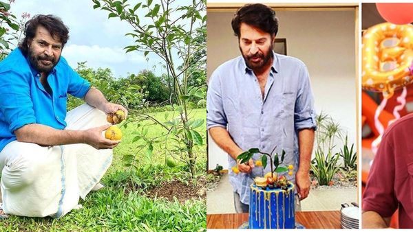 മമ്മൂട്ടി ജീവിതത്തിലും മാസ്സാണ്, പിറന്നാള്‍ കേക്കിലെ അതേ ഫ്രൂട്ട് മുറ്റത്ത് വിളയിച്ച് മെഗാസ്റ്റാര്‍
