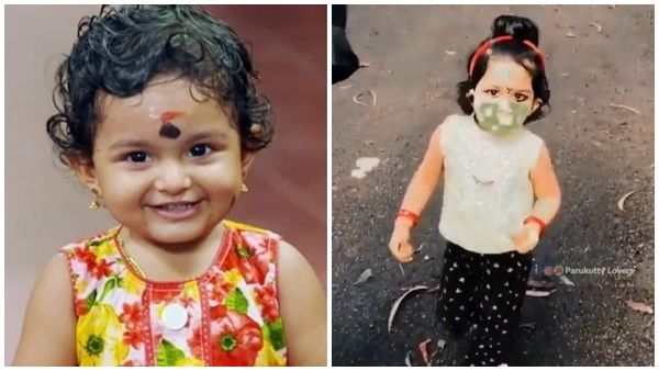 'പാറുക്കുട്ടി സെലിബ്രിറ്റിയാ സെലിബ്രിറ്റി'! ഉപ്പും മുളകും താരത്തിന്റെ വീഡിയോ വൈറല്‍