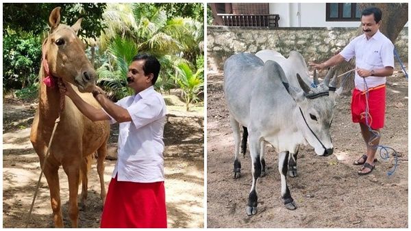 പാലക്കാടൻ കാള, കുതിര...രജിത് കുമാറിന്റെ ഇൻസ്റ്റഗ്രാം പോസ്റ്റ് കണ്ട് പ്രേക്ഷകർക്ക് ഒരു സംശയം!