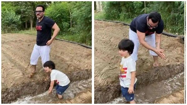 അച്ഛൻ സെയ്ഫ് അലിഖാനോടൊപ്പം കൃഷിപ്പണി ആസ്വദിച്ച് തൈമൂർ, താരപുത്രന്റെ ചിത്രം വൈറലാകുന്നു...