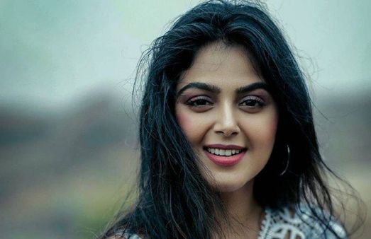 മലയാള നടനുമായിട്ടുള്ള പ്രണയം പരാജയപ്പെട്ടു; തെന്നിന്ത്യന്‍ സിനിമ ഉപേക്ഷിക്കാനുള്ള കാരണത്തെ കുറിച്ച് പറഞ്ഞ് നടി