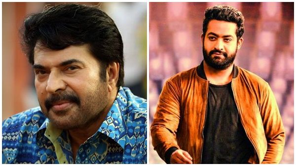 ജൂനിയര്‍ എന്‍ടിആര്‍ ചിത്രത്തിലേക്ക് മമ്മൂട്ടി? പ്രതിനായക വേഷത്തിലേക്ക് പരിഗണിക്കുന്നതായി റിപ്പോര്‍ട്ടുകള്‍