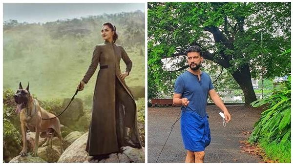 മഞ്ജു വാര്യർക്ക് ഇൻസ്പിരേഷനായത് പിഷാര‍ടി,നടിയുടെ വൈറൽ വണ്ടർ വുമൺ ലുക്ക് വന്നത് ഇങ്ങനെ...