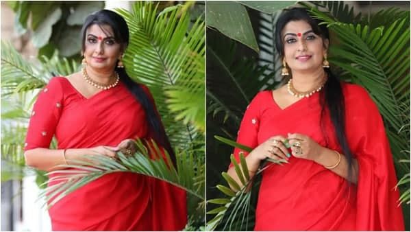 ഏഴുവര്‍ഷമായി ലൈംലൈറ്റില്‍ ഇല്ല, ആരും എന്നെ തേടി വന്നില്ല; ഇടവേളയെക്കുറിച്ച് മായ വിശ്വനാഥ്