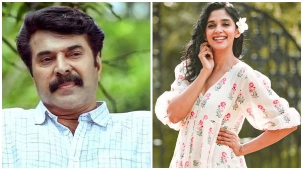 സിനിമ ചെയ്യാമെന്ന് അദ്ദേഹം പറയില്ല, വിളിച്ചിട്ട് ഇങ്ങനെ പറയും; മമ്മൂട്ടിയെ കുറിച്ച് നൈല ഉഷ