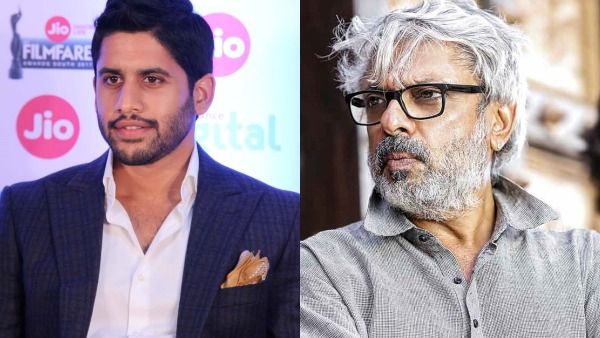 'തുടർച്ചയായി പരാജയങ്ങൾ, ഒന്നും ശരിയാവുന്നില്ല'; സഞ്ജയ് ലീല ബൻസാലിയെ സന്ദർശിച്ച് നാ​ഗചൈതന്യ!