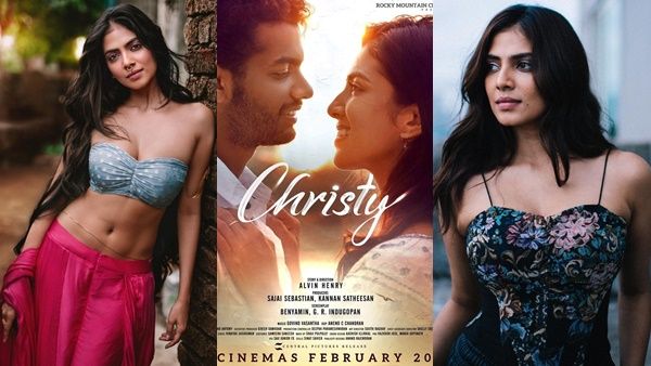 മാത്യു ഇതെങ്ങനെ കൈകാര്യം ചെയ്യും? ആരാധകന്റെ മുനവച്ച ചോദ്യത്തിന് മറുപടി നല്‍കി മാളവിക