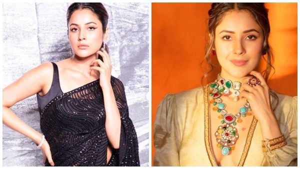 ബിഗ് ബോസ് നേടി കൊടുത്ത സൗഭാഗ്യം; കോടികളുടെ ആസ്തി സ്വന്തമാക്കി നടി ഷെഹ്നാസ് ഗില്‍, റിപ്പോര്‍ട്ട് പുറത്ത്