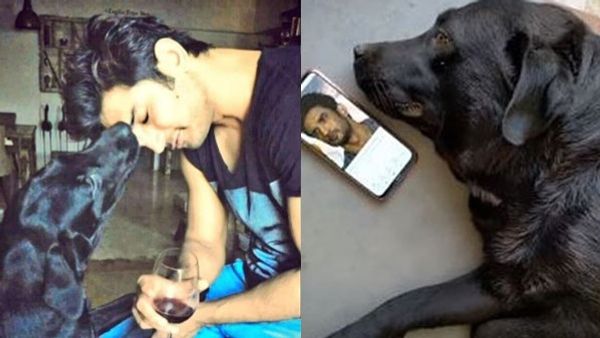 സുശാന്ത് മരിച്ചതറിയാതെ കാത്തിരുന്ന വളർത്തു നായ വിട പറഞ്ഞു; സ്വർ​ഗത്തിൽ‌ അവരൊന്നിക്കട്ടെയെന്ന് ആരാധകർ