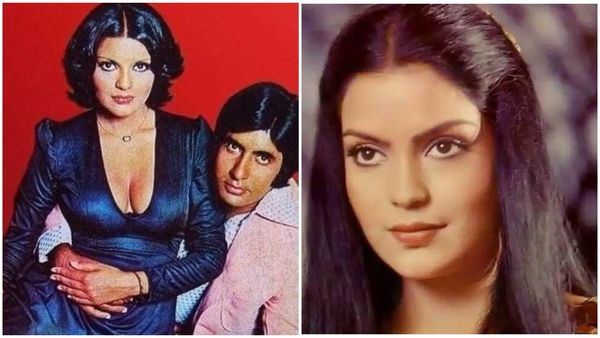 കുട്ടികളുണ്ടാവാനാണ് രണ്ടാമതും വിവാഹിതയായത്! ശാരീരികമായി ഉപദ്രവിച്ച ആദ്യ ഭര്‍ത്താവിനെ പറ്റി സീനത്ത് അമന്‍