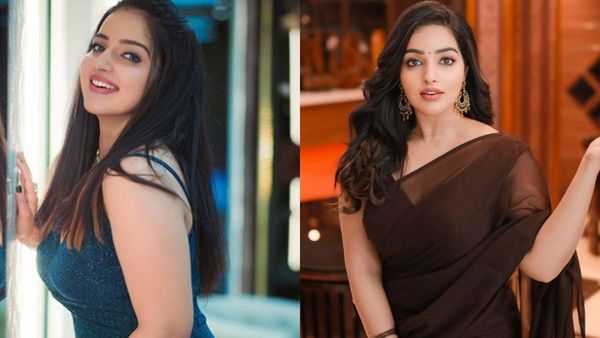 ചിലര്‍ സംഘമായി എന്നെ സമൂഹ മാധ്യമങ്ങളില്‍ ആക്രമിക്കുന്നു; ചില കമന്റുകള്‍ വേദനിപ്പിച്ചു: മാളവിക