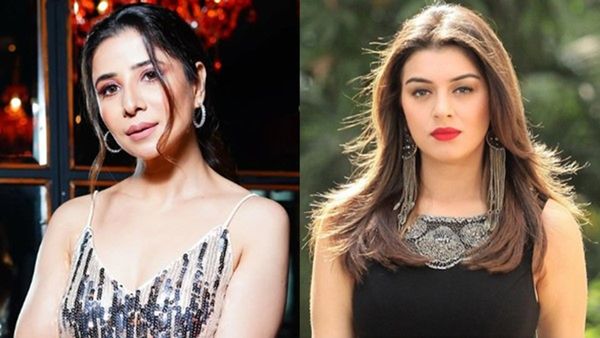 ഹന്‍സികയും കുടുംബവും പീഡിപ്പിച്ചു, മുഖം ഒരു വശം തളര്‍ന്നുവെന്ന് നാത്തൂന്‍; ഒടുവില്‍ മറുപടി നല്‍കി നടി