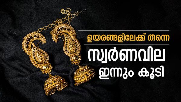 Gold Price in Kerala Reaches New Peak; Pavan & Gram Rates Jump Sharply - Check Todays 23-02-2026 Price | വീണ്ടും ഞെട്ടിച്ച് സ്വർണം, പവന്‍റെ വില ഈ മാസത്തെ ഉയർന്ന നിരക്കിൽ