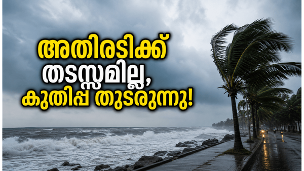 പുതിയ റിലീസുകൾ വന്നിട്ടും അതിരടിക്ക് കുലുക്കമില്ല! പതിനാലാം ദിവസവും ബോക്സോഫീസിൽ തകർപ്പൻ പ്രകടനം!