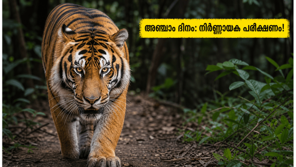 വെൽക്കം ടു ദി ജംഗിൾ: അഞ്ചാം ദിനത്തിൽ ബോക്സ് ഓഫീസിൽ നിർണ്ണായക പരീക്ഷണം! പ്രേക്ഷകർ കൈവിട്ടോ?