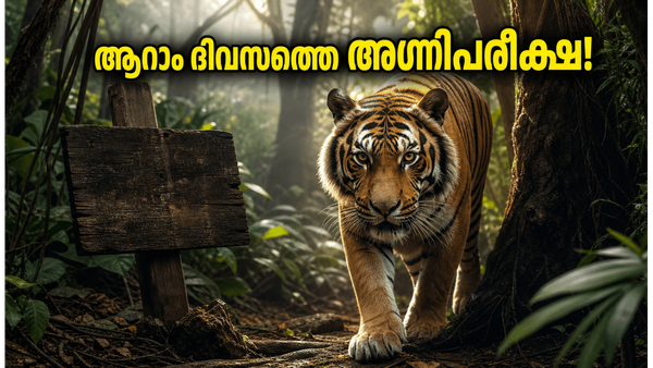 'വെൽക്കം ടു ദ ജംഗിൾ' ആറാം ദിവസത്തെ അഗ്നിപരീക്ഷ; ബോക്സ് ഓഫീസിൽ ചിത്രം പിടിച്ചുനിൽക്കുമോ?