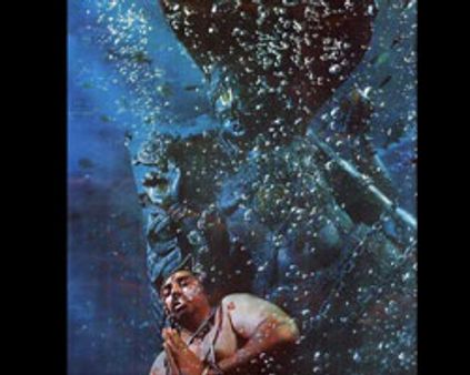 சிகாகோவில் ~~தசாவதாரம் தோசை~~!