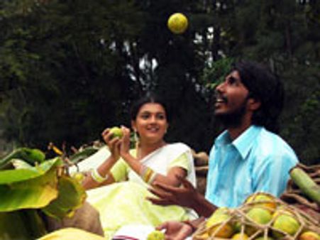 சேப்பாக்கத்தில் ஸ்டார் கிரிக்கெட்!