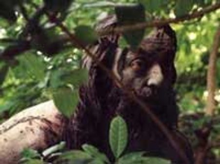 கமல்-மிஷ்கின் கூட்டணி...'மர்மயோகி' உயிர் பெறுகிறது?