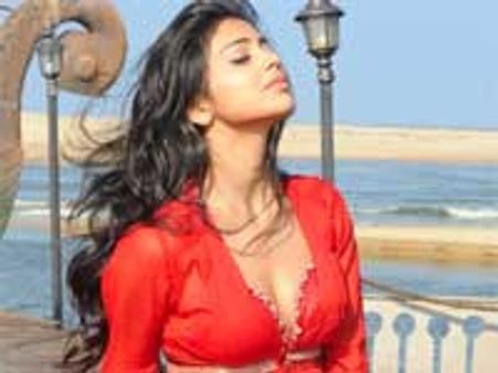 முத்தத்துக்கு ஒரு ரேட்... கவர்ச்சிக்கு தனி ரேட்டா? - ஷ்ரியா பதில்