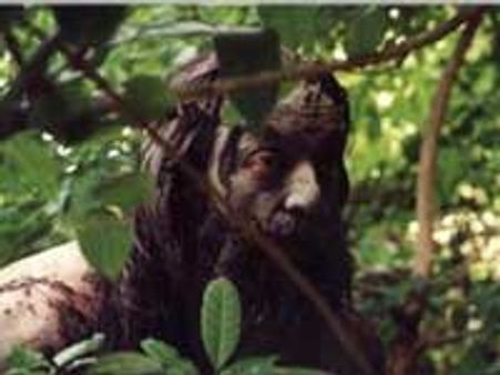 ரூ.10.9 கோடி கேட்டு கமலுக்கு சாய்மீரா நோட்டீஸ்