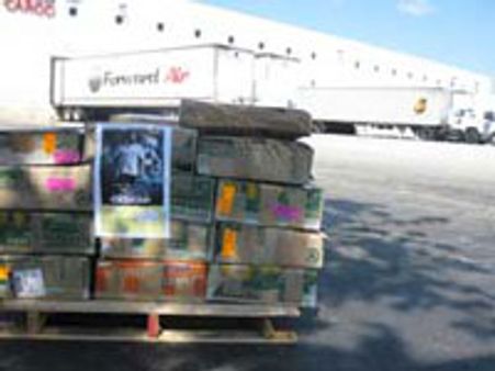 உன்னைப் போல் ஒருவன்-நாளை ரிலீஸ்: நீதிமன்றம் அனுமதி