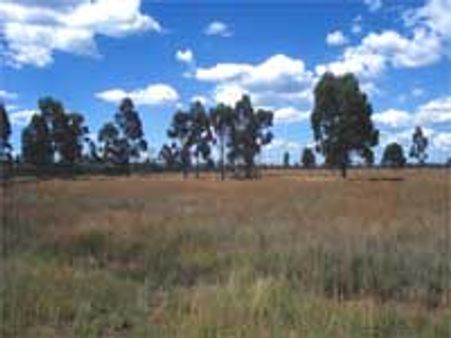 சினிமாக்காரர்களுக்கு பையனூரில் 75 ஏக்கர் நிலம்!