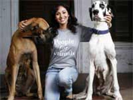 விலங்குகள் மீது அன்பு காட்டுவோம்-சதா அழைப்பு