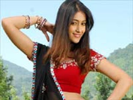 விஜய் -இலியானா-ஹாரிஸ் கூட்டணியில் ஷங்கரின் '3 இடியட்ஸ்'!