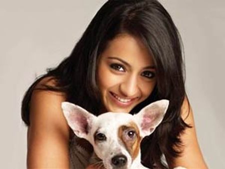 தெரு நாய்கள்... த்ரிஷாவின் 'கருணை'!