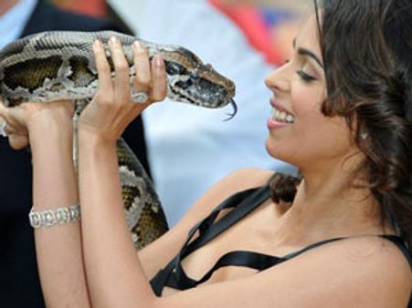 பசங்களுக்குப், 'பாம்பு' பெட்டர்!; சொல்கிறார் மல்லிகா ஷெராவத்!!