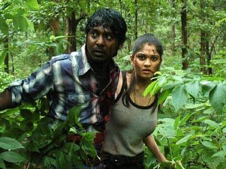 மதில்மேல் பூனை... படப்பிடிப்பில் யானை... நாயகி அலறல்!