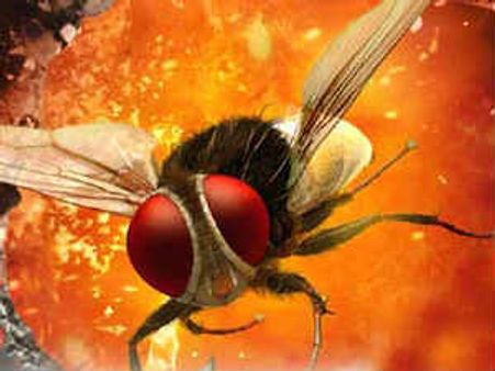 எஸ். எஸ். ராஜமௌலி என்னும் திரை உலக ராட்சஷன்