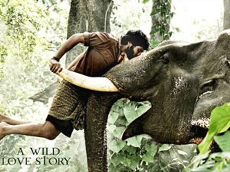 யானைகளுடன் ஒரு வருஷம்... - பிரபு மகனின் கும்கி அனுபவம்