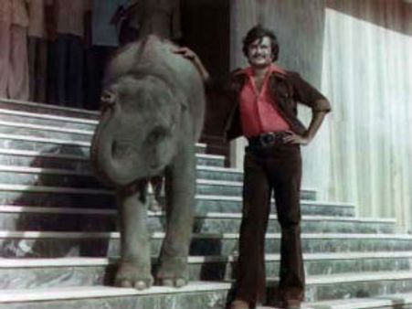 நல்ல நேரம், அன்னை ஓர் ஆலயம் படங்களில் நடித்த யானை 'ரதி' மரணம்!