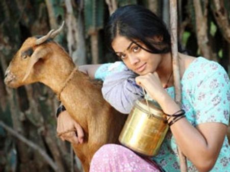 கார்த்திகா ஆடு மேய்ச்ச கதை!