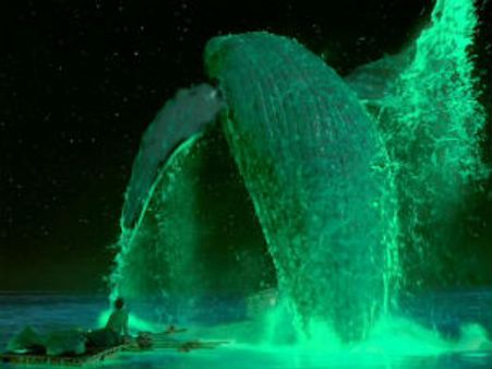 ‘லைப் ஆப் பை’ படத்திற்கு ஸ்பெசல் எஃபெக்ட்ஸ் செய்த நிறுவனம் திவால்… ஆஸ்கர் விழாவில் ஆர்ப்பாட்டம்