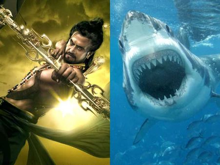 சுறாவுடன் சண்டை போடும் சூப்பர் ஸ்டார்- கோச்சடையான் ரகசியங்கள்