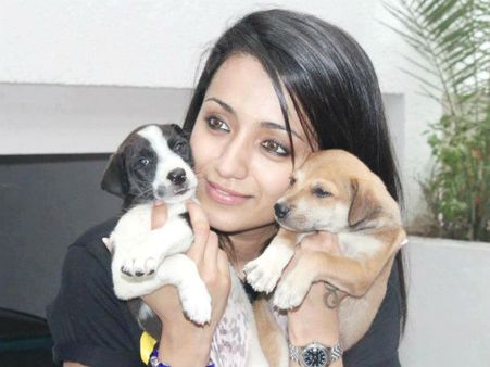 தெருநாய்கள் மீதும் கருணை காட்டுங்கள் - மேயருக்கு திரிஷா கடிதம்