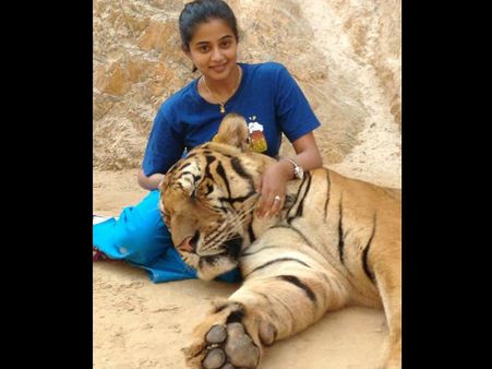 புலிகளோடு பிரியாமணி... பேஸ்புக் படங்களால் பரபரப்பு