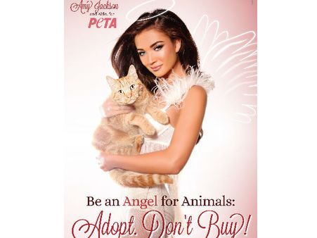 விலங்குகளின் புதிய தேவதை எமி ஜாக்ஸன்!