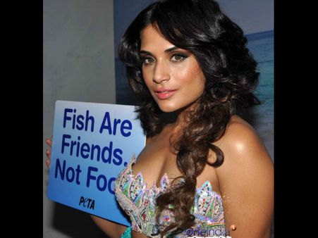மீன்கள் நம் நண்பர்கள், நண்பர்களை சாப்பிடலாமா?: கேட்கிறார் நடிகை ரிச்சா