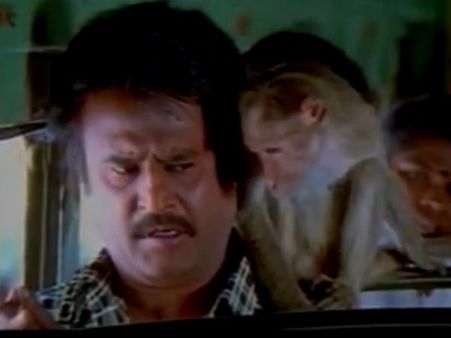 அருணாச்சலம் படத்தில் ரஜினியுடன் நடித்த குரங்கு மரணம்!