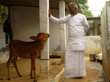 இசை என்பது ஒரு மாமருந்து என்பதை படித்திருப்பீர்கள். இதோ ஒரு அனுபவம்...