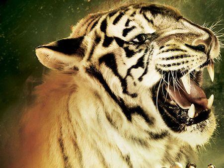 'ரோர், தி டைகர் ஆப் சுந்தர்பன்': தேசிய விலங்கிற்காக ஒரு படம்!