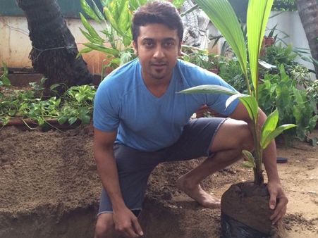 ஆமிர் கான், மகேஷ் பாபு, சுதீப்புக்கு சூர்யா விடுத்த மை ட்ரீ சேலஞ்ச்!