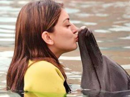 டால்பினுக்கு முத்தம்... குளியல் வீடியோ வலியை மறக்க ஐரோப்பிய நாடுகளில் ஹன்சிகா சுற்றுலா!